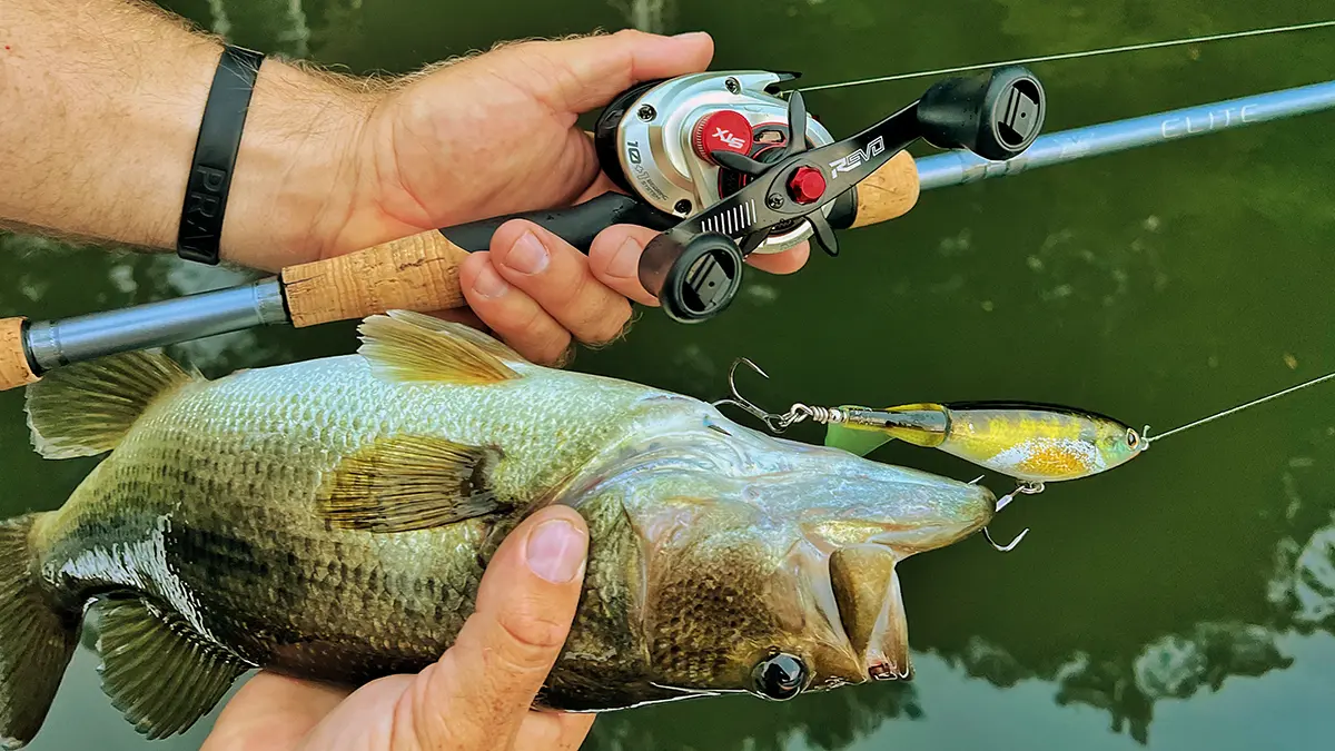 Abu Garcia Revo STX LP Casting Reel poignée avec: basse et choppo