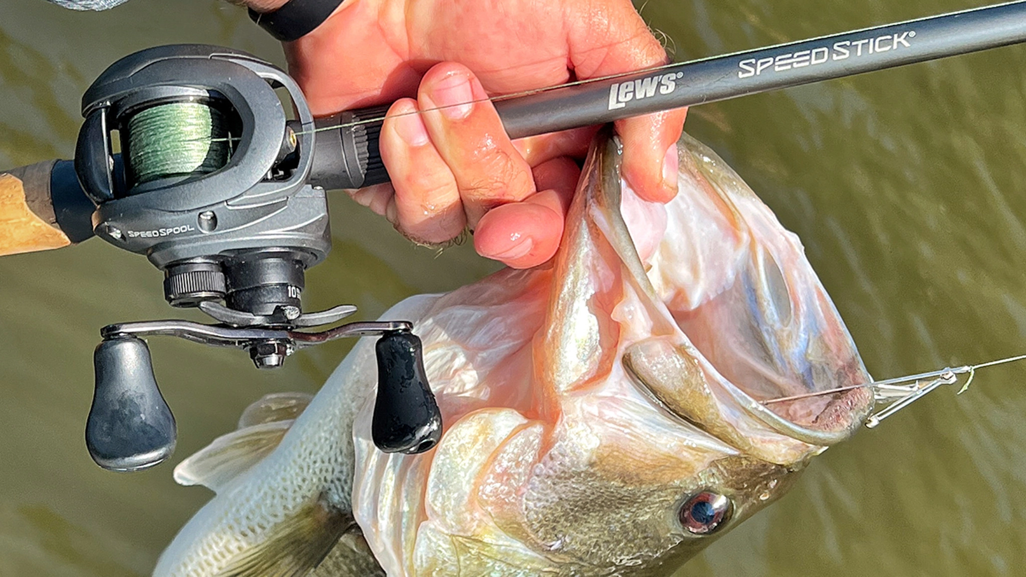 jouer une basse