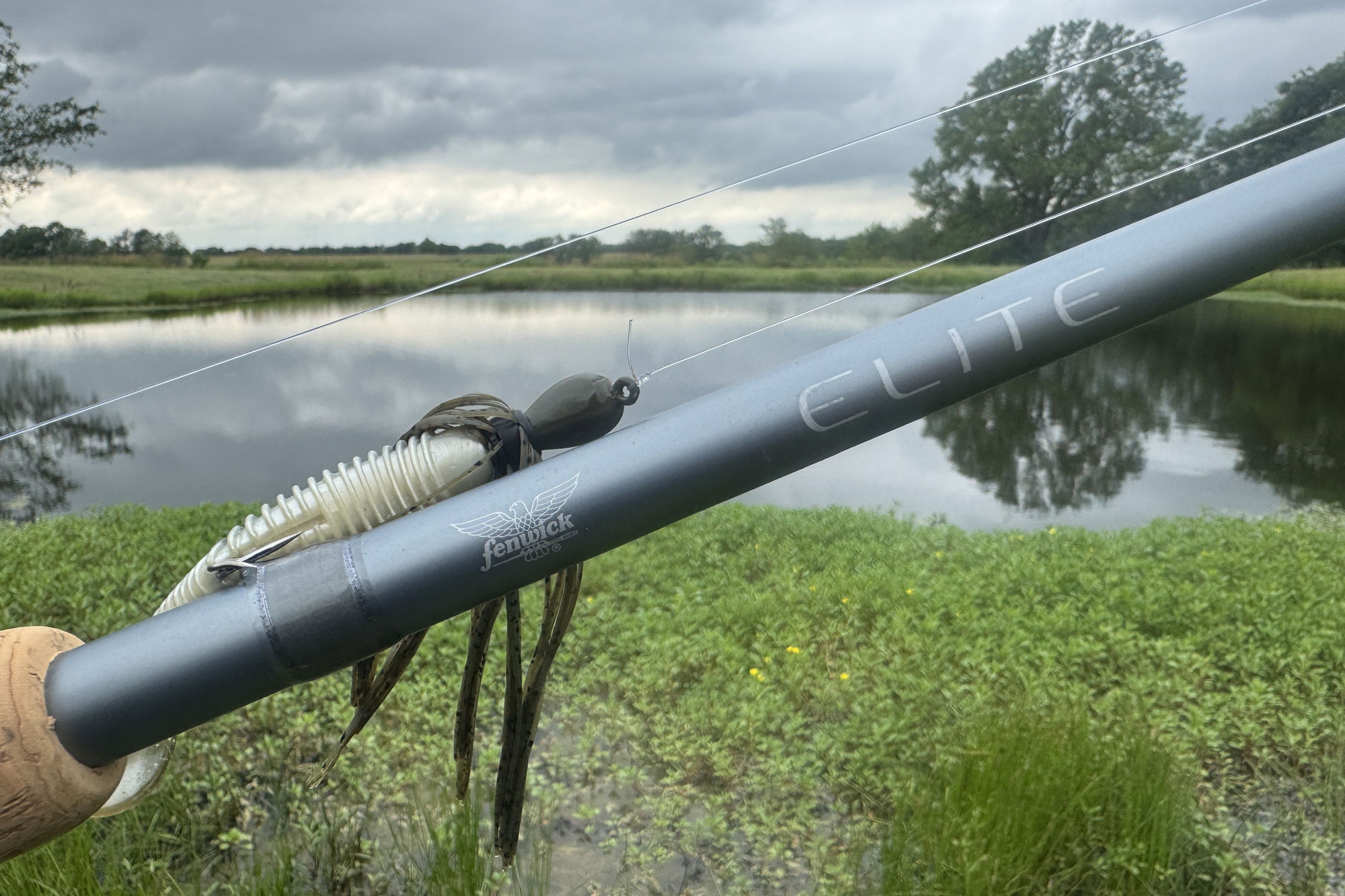 Fenwick Elite Bass Casting Closeup