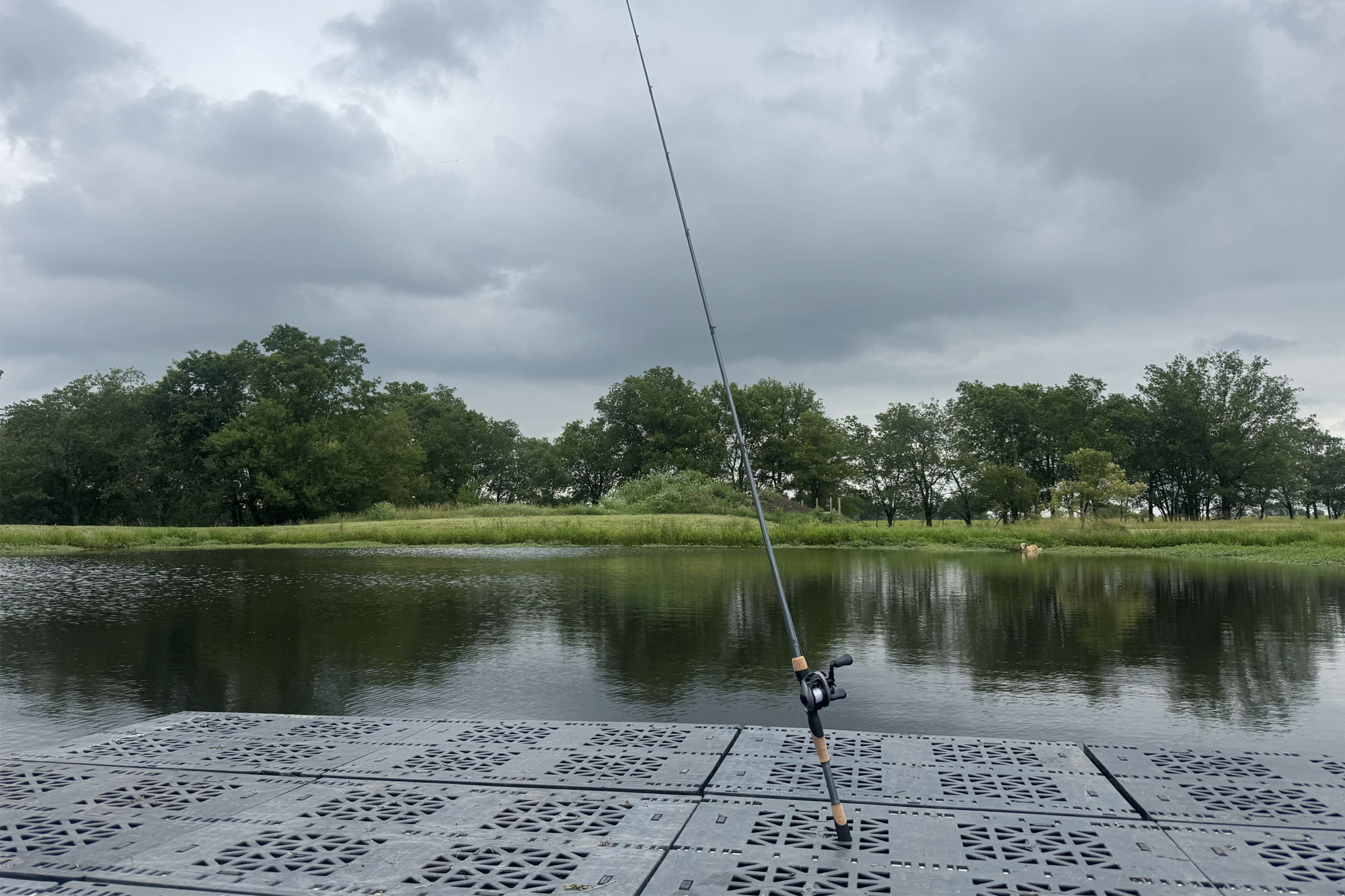 Basse de basse Fenwick Elite à côté d'un lac