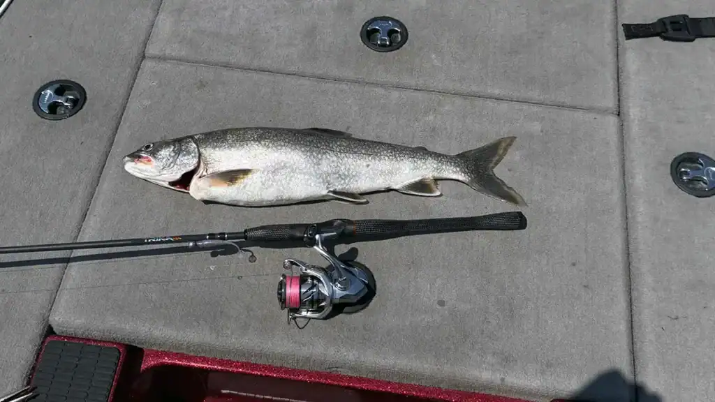 Trika Rod et Trout Lake