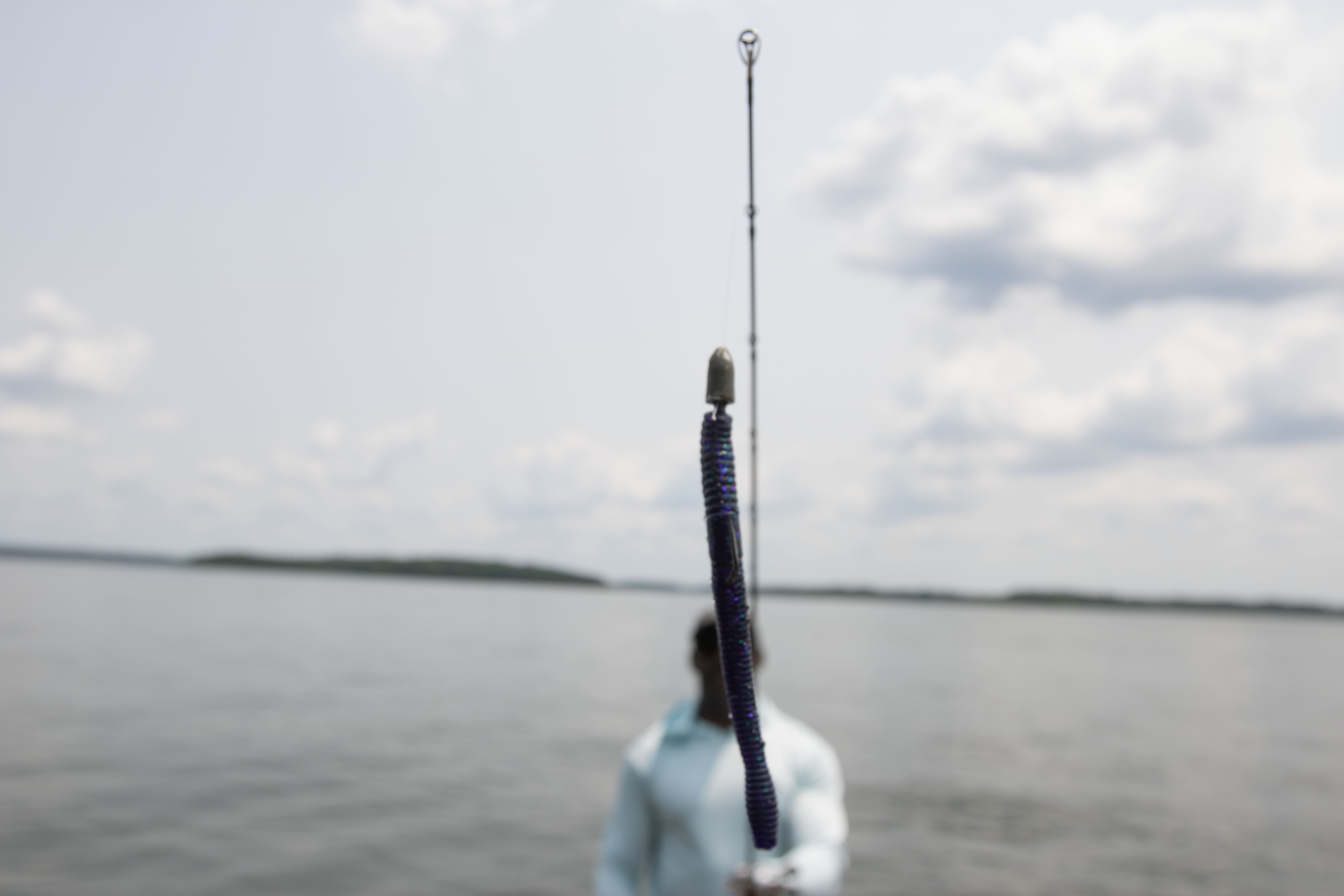 Un ver gréé du Texas suspendu à une canne à pêche.
