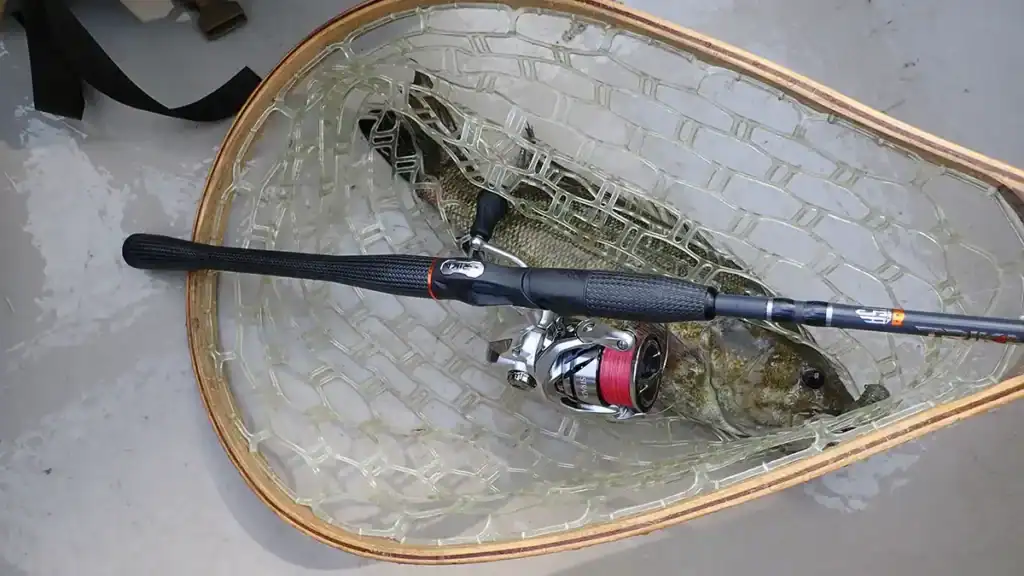 basse tournante et basse à petite bouche