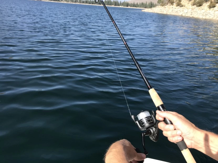 ligne de pêche - le berkley trilene big game s'est avéré être l'un des plus polyvalents...