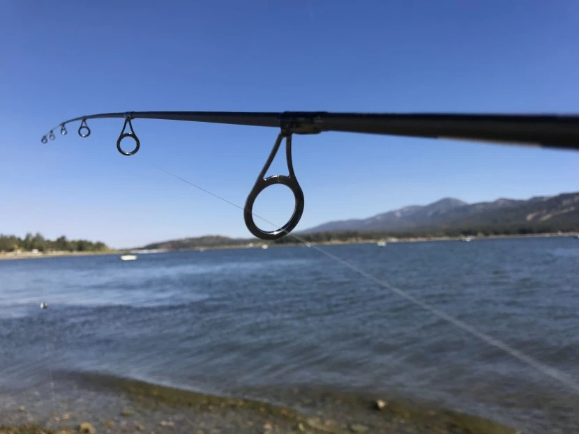ligne de pêche - nos lignes en fluorocarbone, comme la Berkley Vanish, ne marquent pas aussi bien...