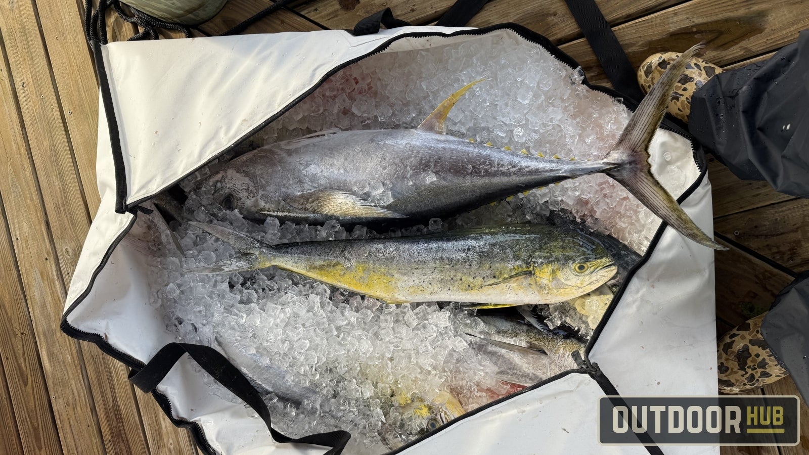 PENN Squall II Lever Drag Rod & Reel Combo: Examen OutdoorHub