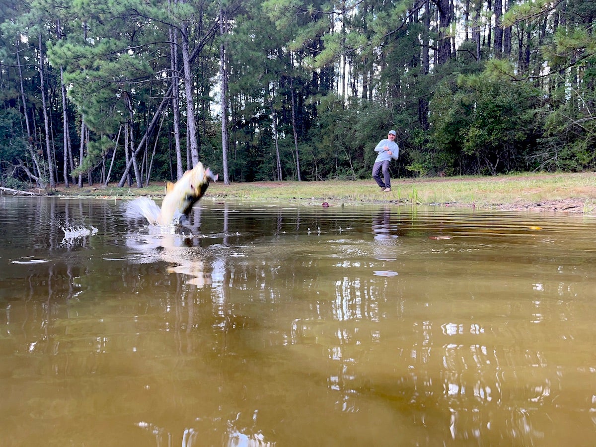 Revue AllOutdoor - Moulinet Baitcast Trika Ti100 et canne Trika 3x