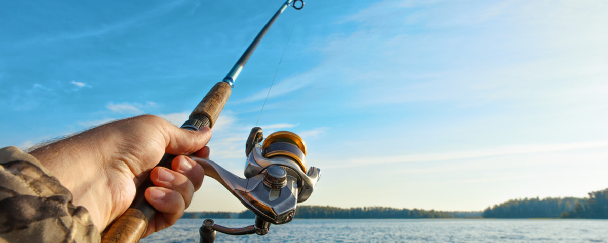 5 secrets de la pêche urbaine : entre culture et zones interdites !