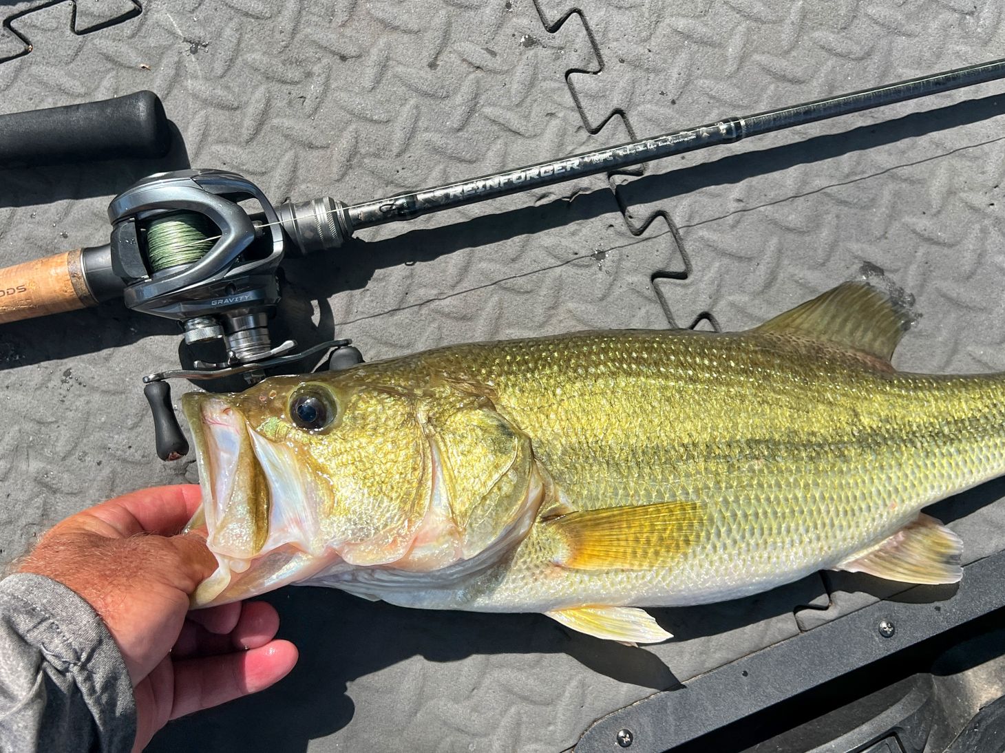 Tige de renfort Ark à côté de la main du pêcheur tenant un achigan à grande bouche