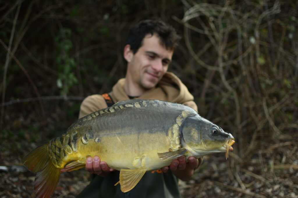 Attractants pour la pêche de la carpe