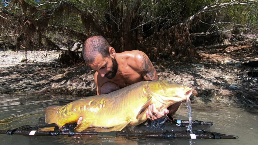No-kill : où sont les limites éthiques des pêcheurs (de carpes)? 3 Limite éthique du nokill des pêcheurs de carpe