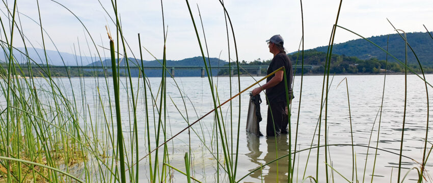 No-kill : où sont les limites éthiques des pêcheurs (de carpes)? 2 Limite éthique du nokill des pêcheurs de carpe