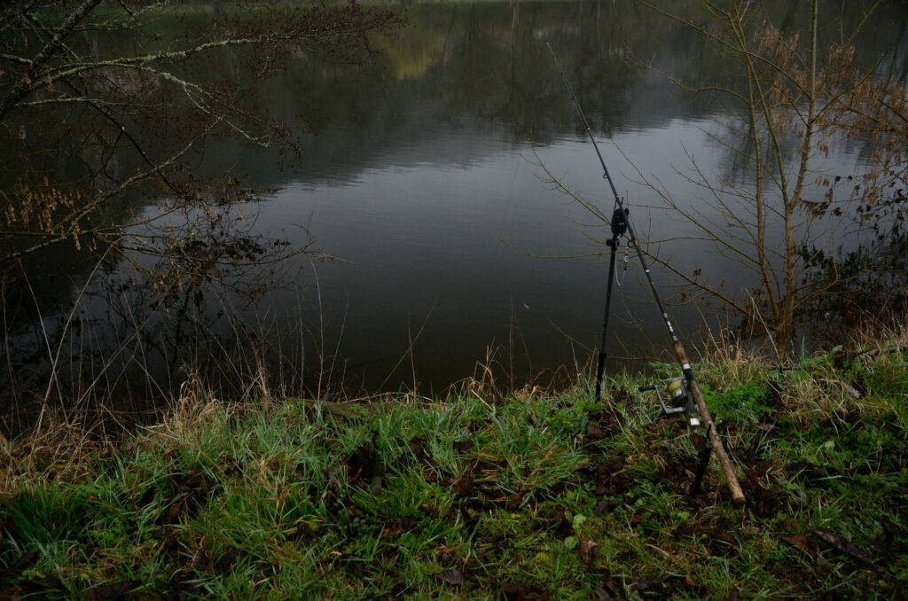 Pêche de la carpe frein bloqué