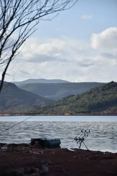 Pêche de la carpe au printemps