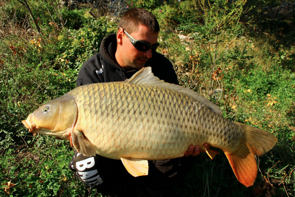 Stratégie de pêche à la carpe en rivière