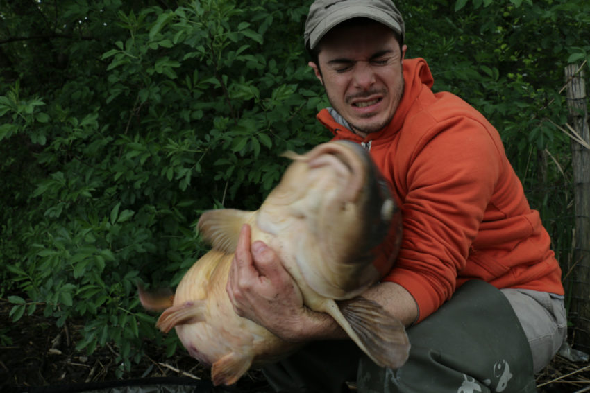 Pêche des grosses carpes en hiver
