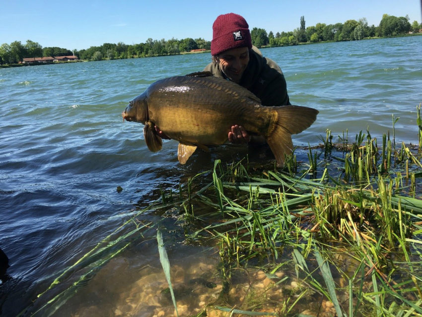 Stratégies de pêche à la carpe