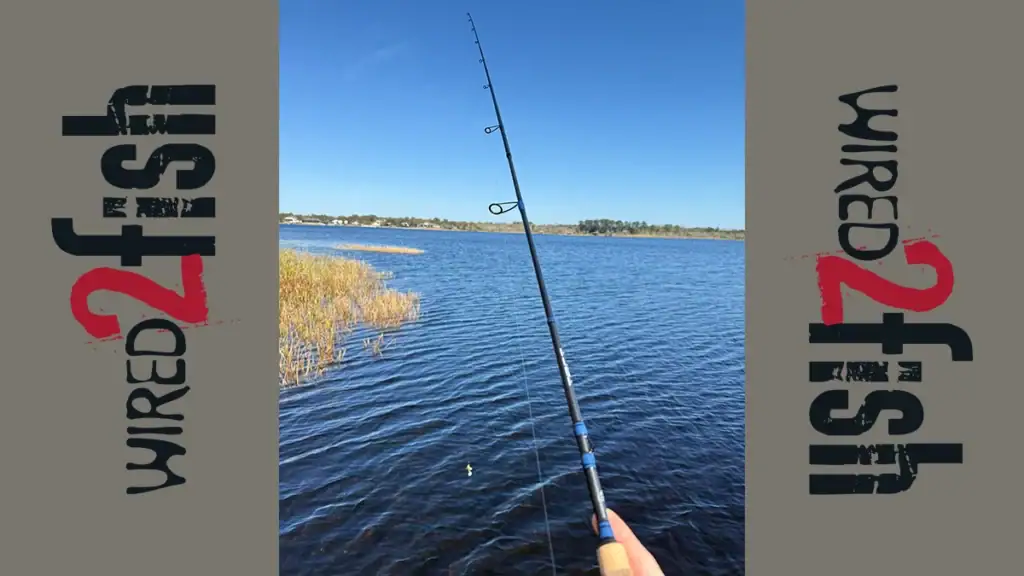 13 Canne spinning Fishing Tact